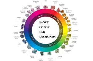 fancy color wheel