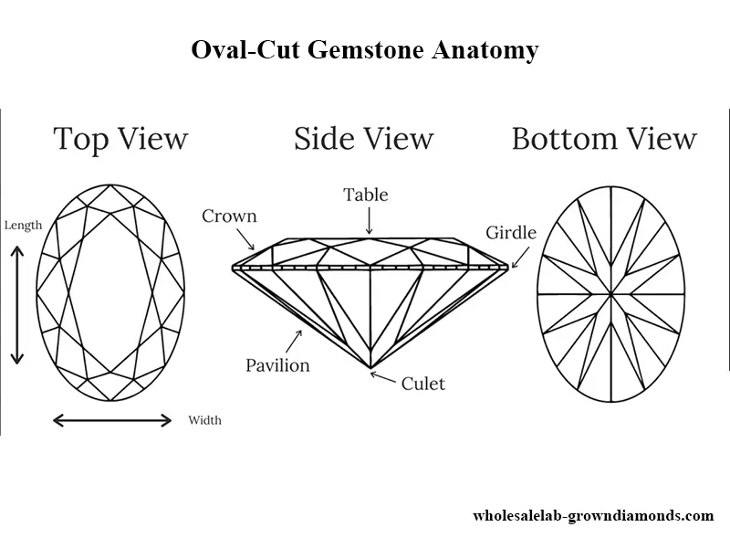 Oval-Cut Gemstone Anatomy