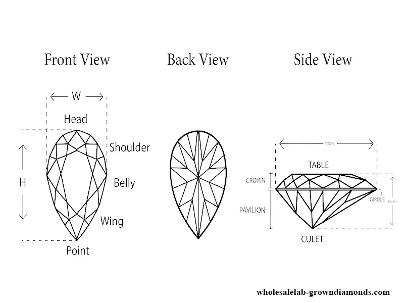 pear-shaped gemstone anatomy