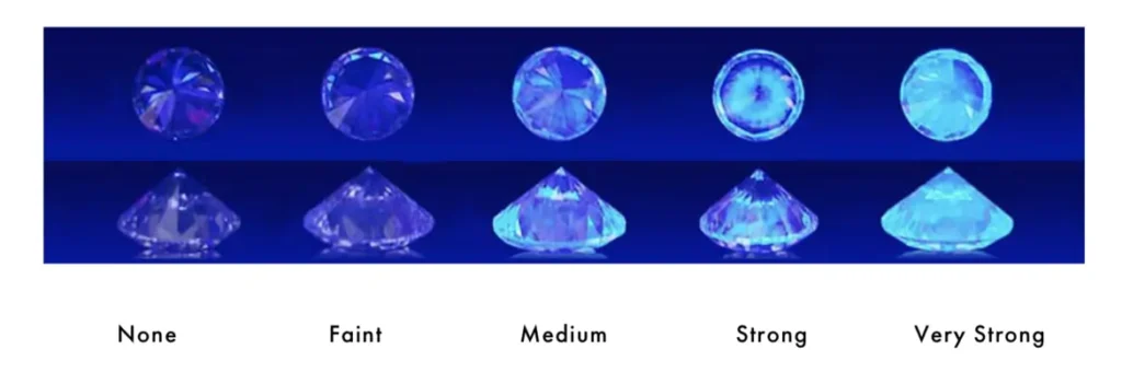 Fluorescence scale