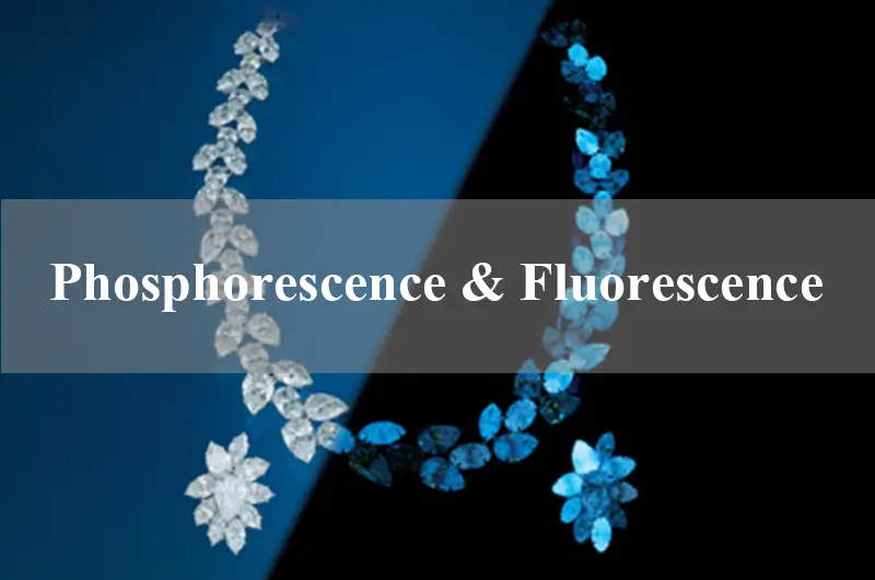 Phosphorescence & Fluorescence